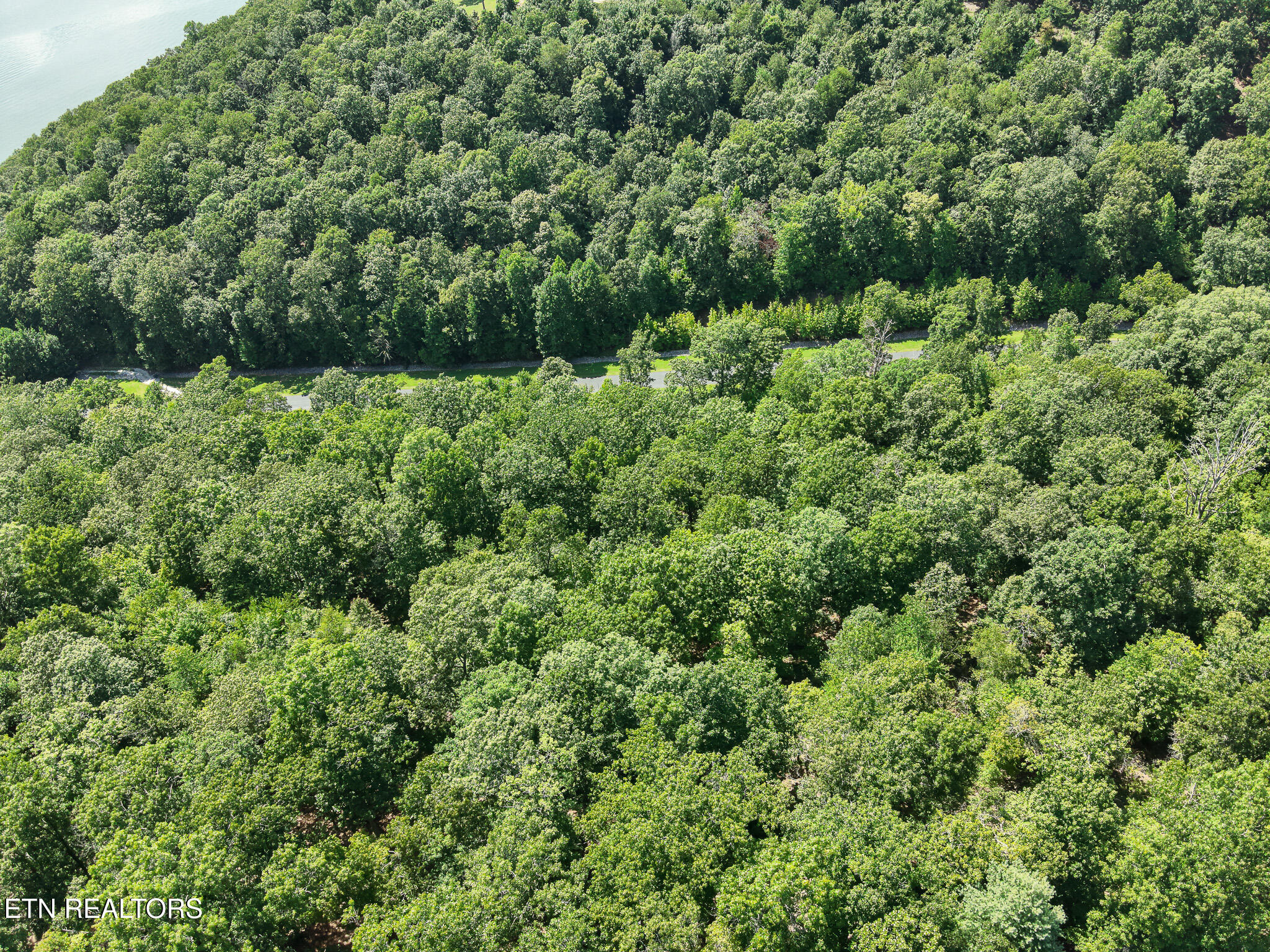 393 W Mountain Drive Rockwood TN 37854