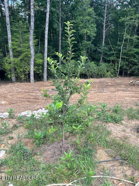 1707 Russell Ridge Road Crossville TN 38555
