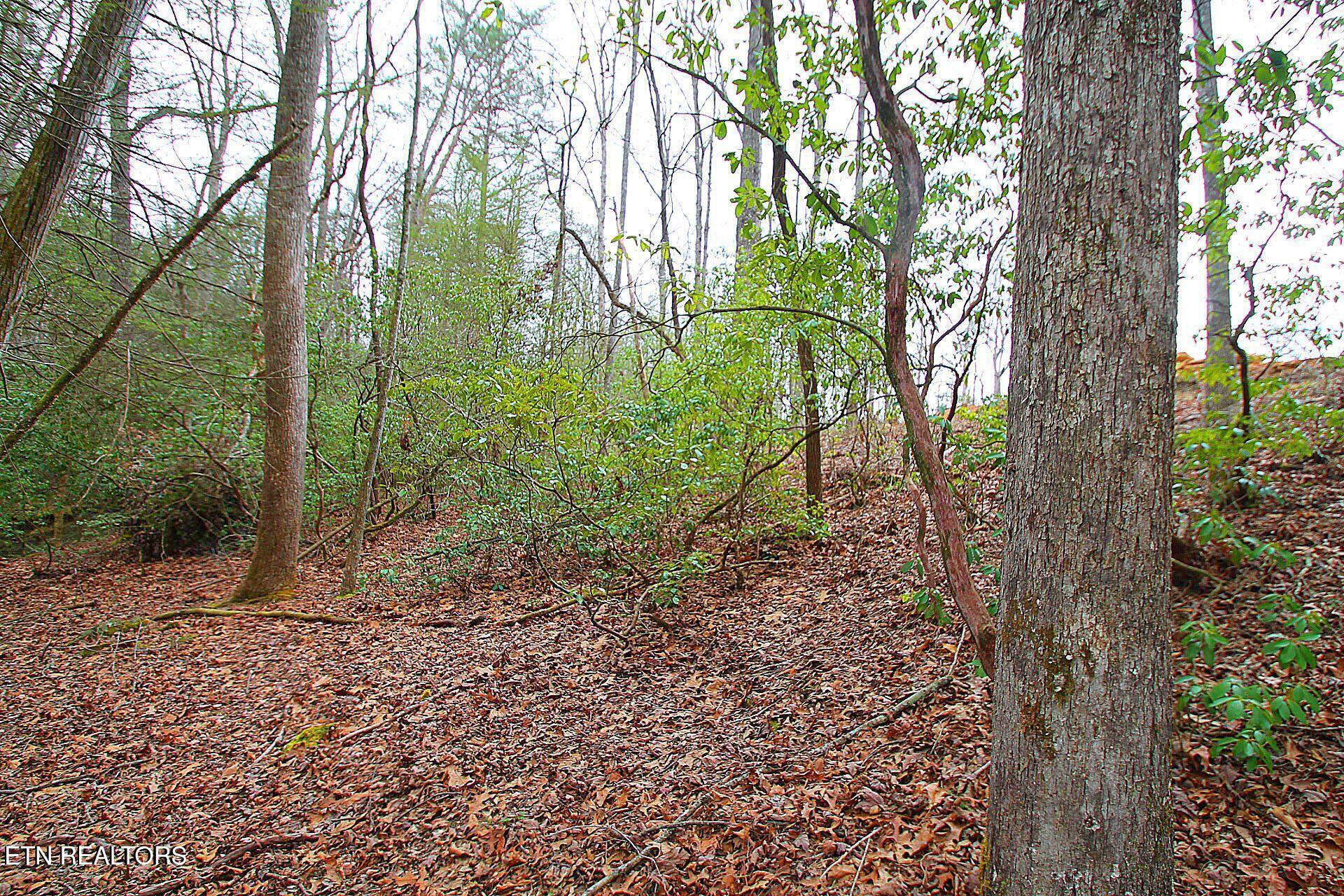 1707 Russell Ridge Road Crossville TN 38555