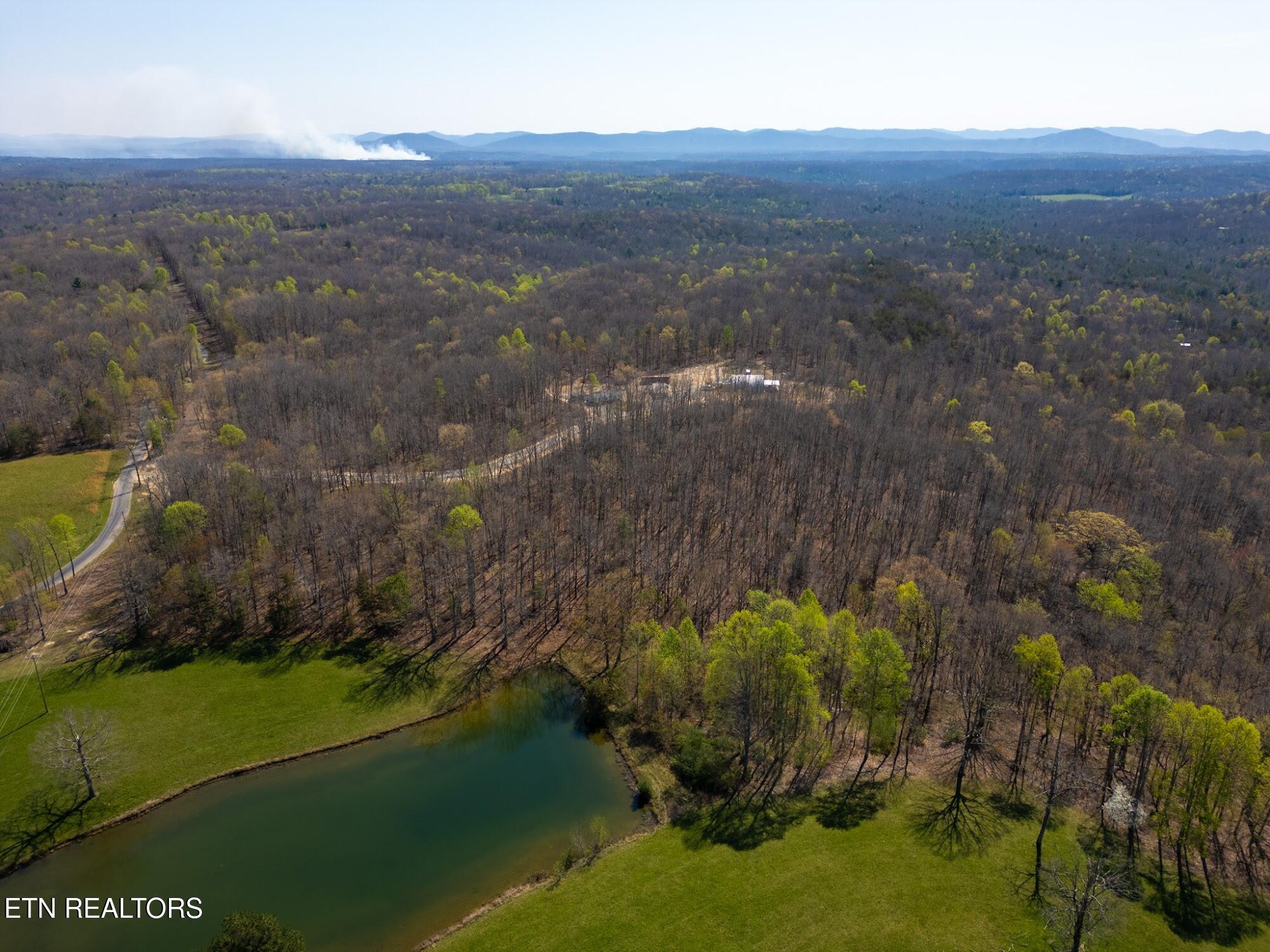 Coon Hollow Road Sunbright TN 37872