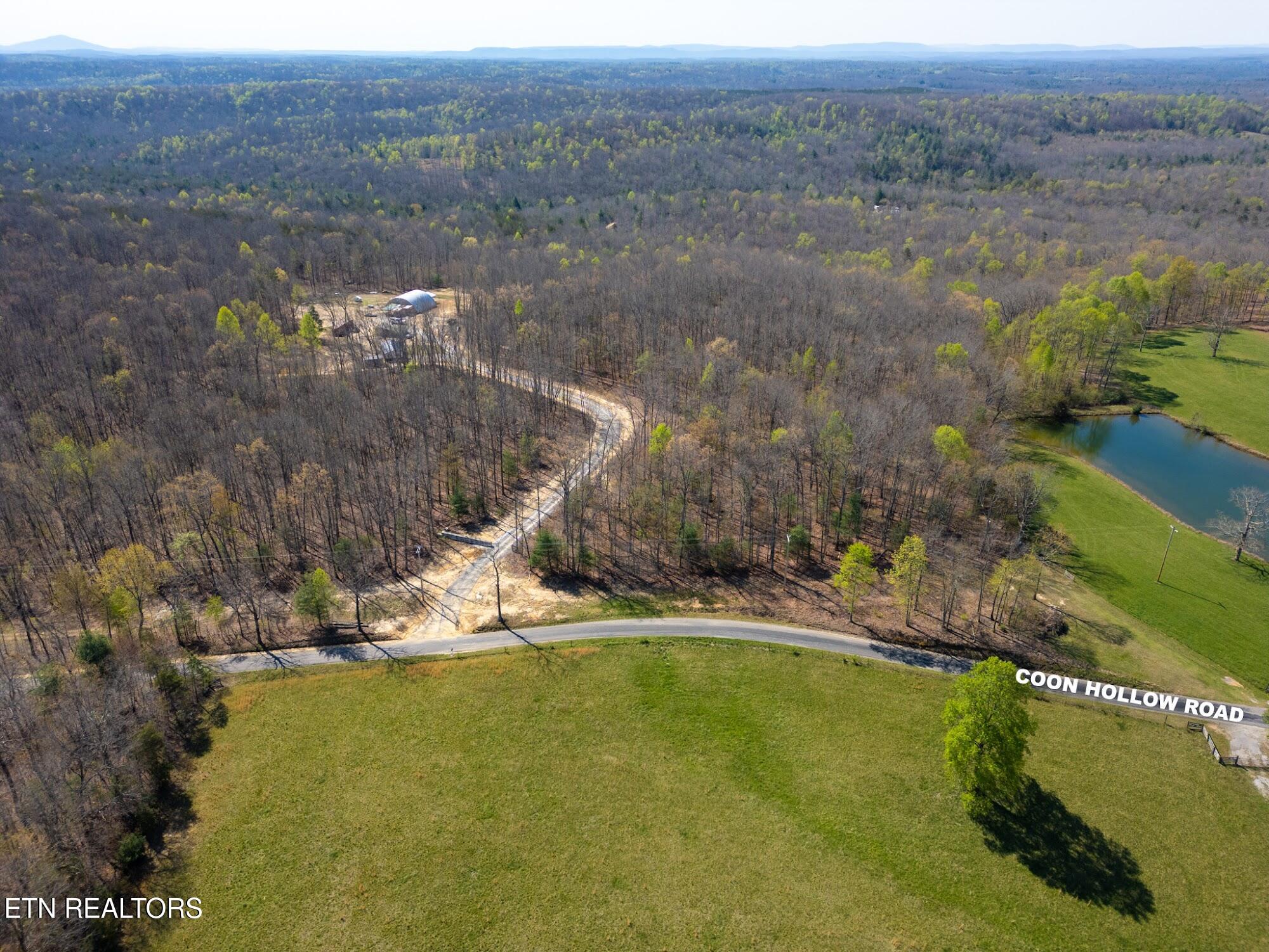 Coon Hollow Road Sunbright TN 37872