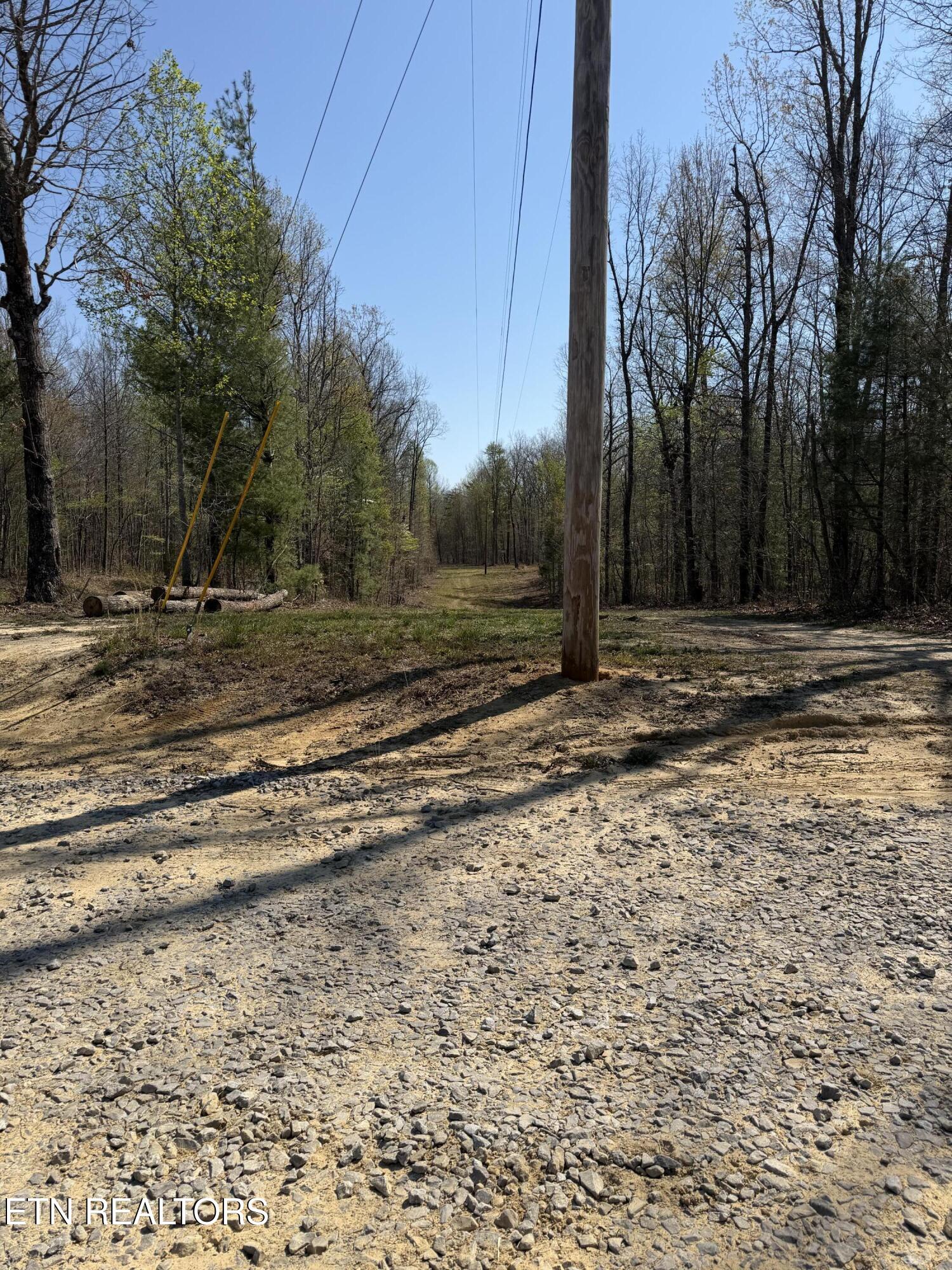 Coon Hollow Road Sunbright TN 37872