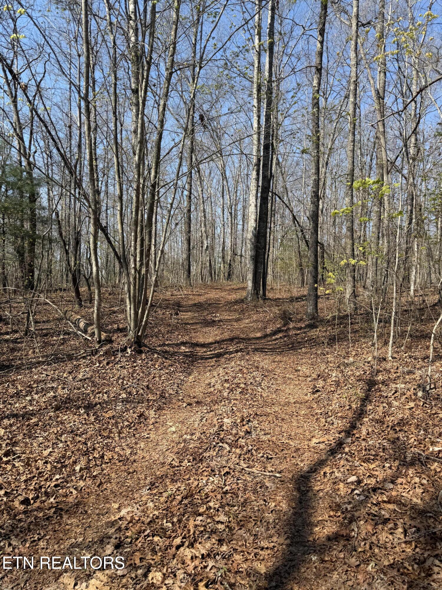 Coon Hollow Road Sunbright TN 37872