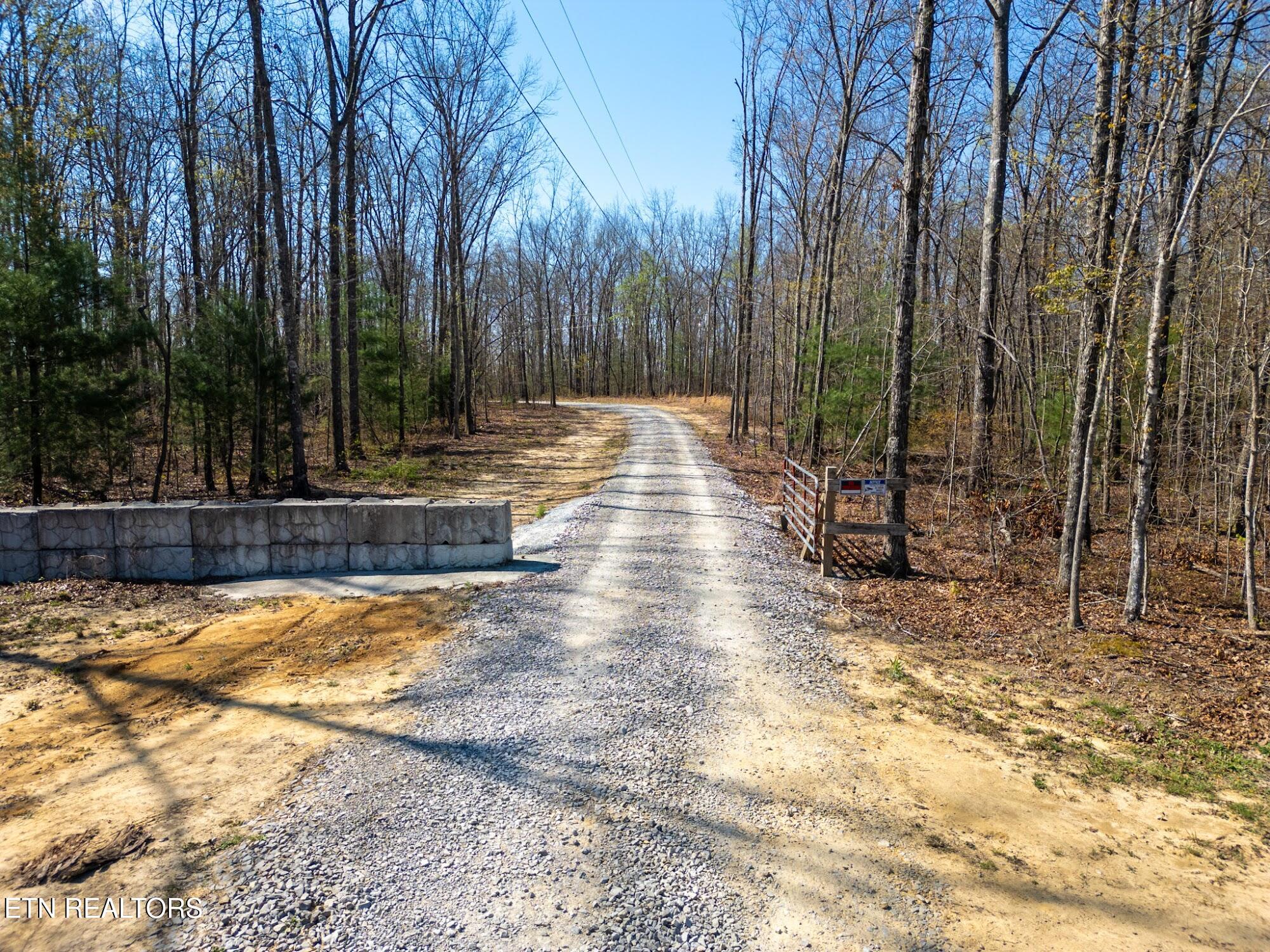 Coon Hollow Road Sunbright TN 37872