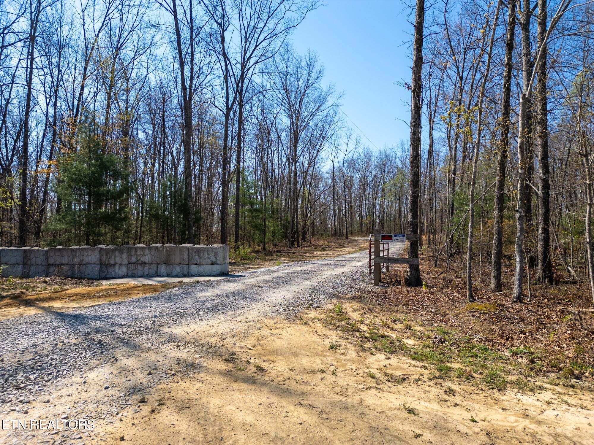 Coon Hollow Road Sunbright TN 37872