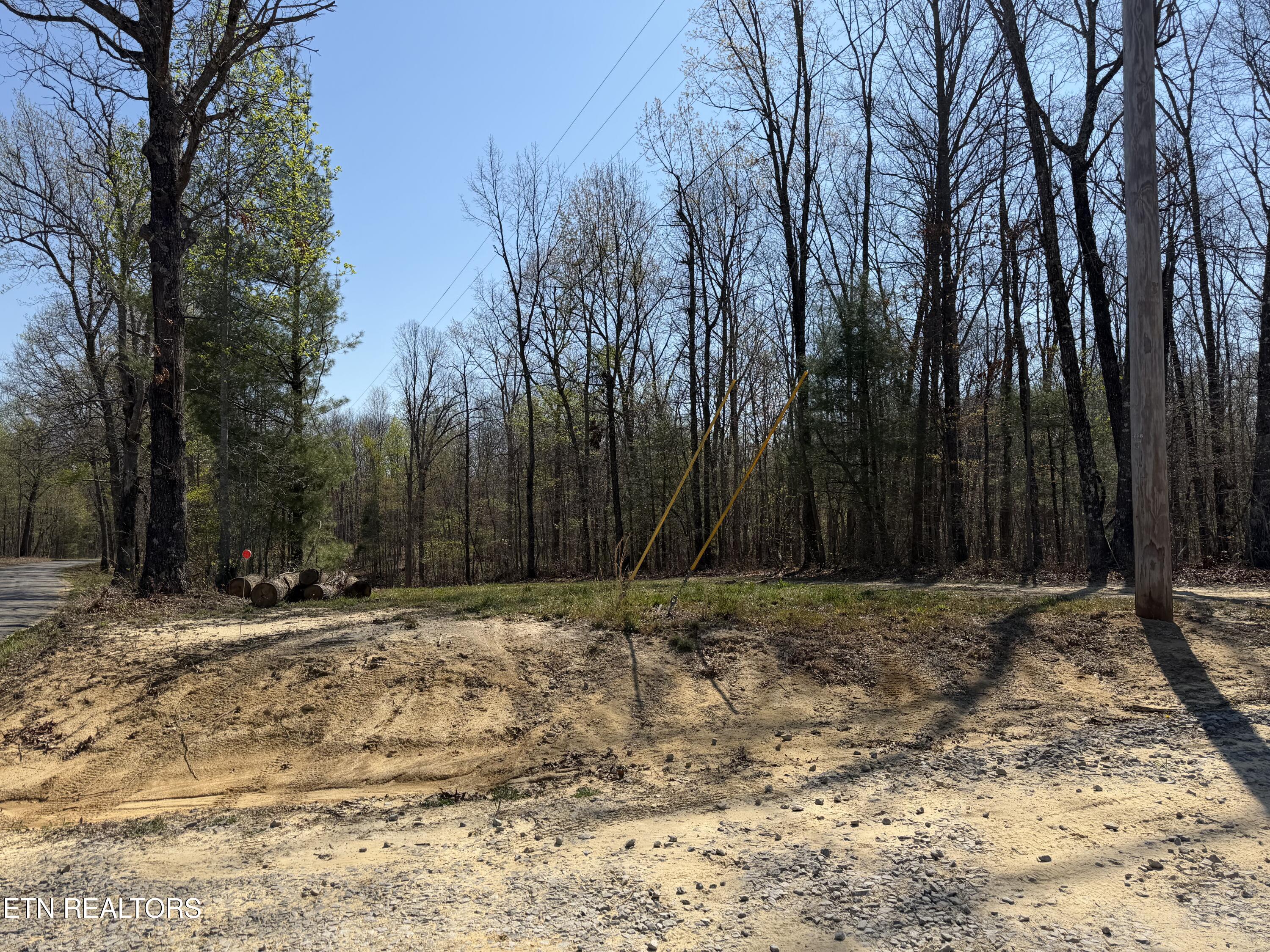 Coon Hollow Road Sunbright TN 37872