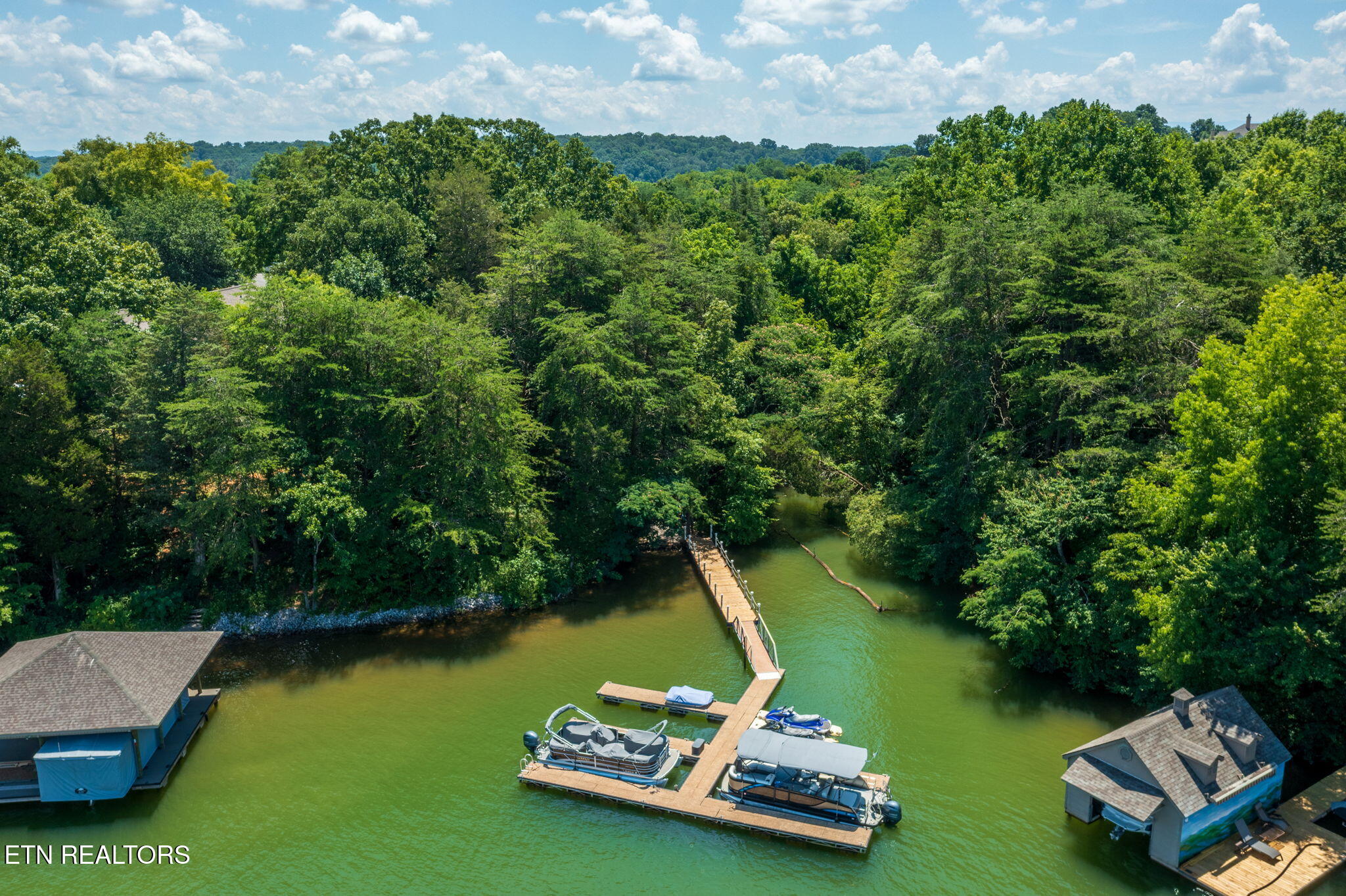 30 Pineberry Court Vonore TN 37885