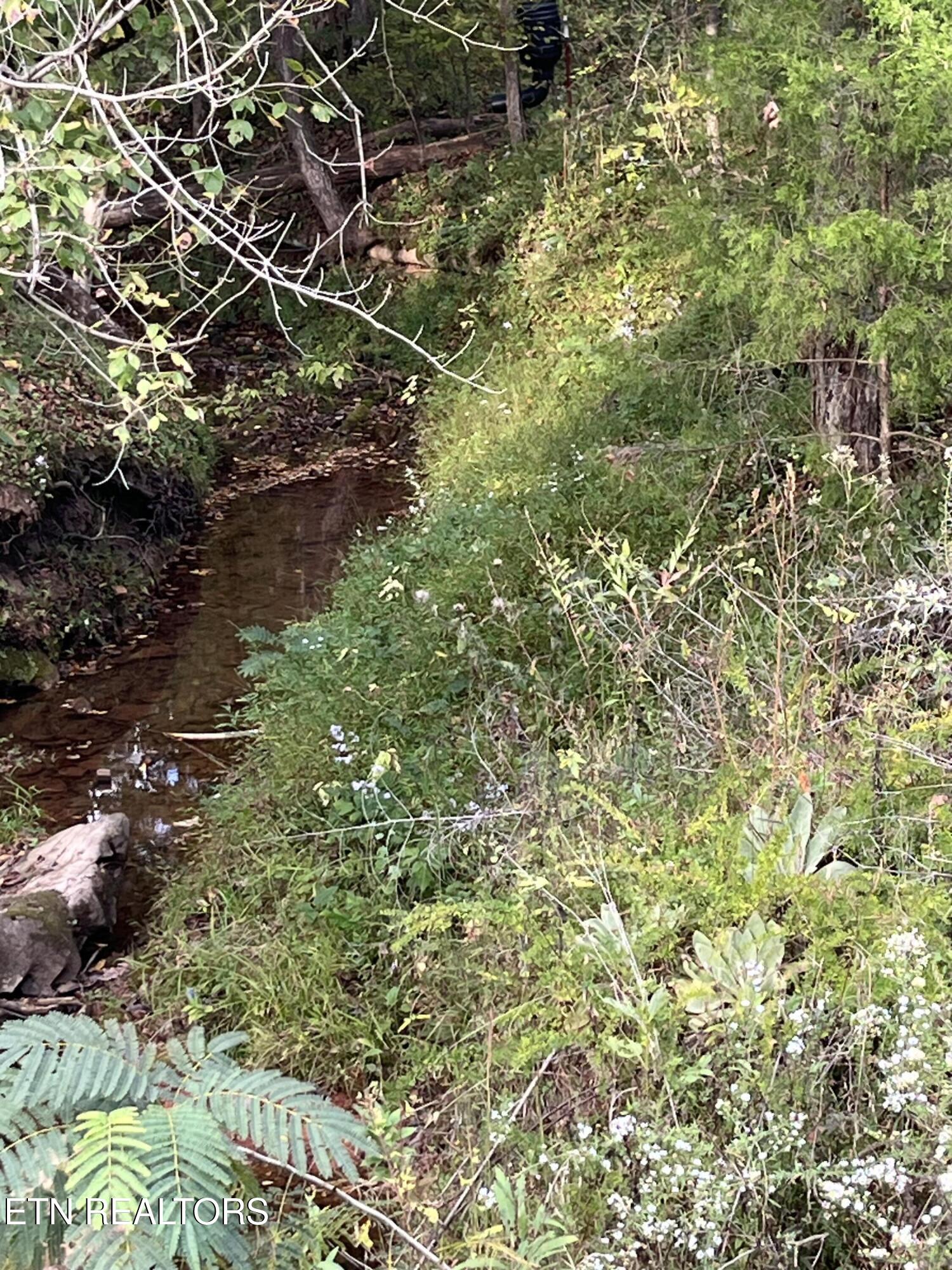 3011 Ballplay Road Madisonville TN 37354