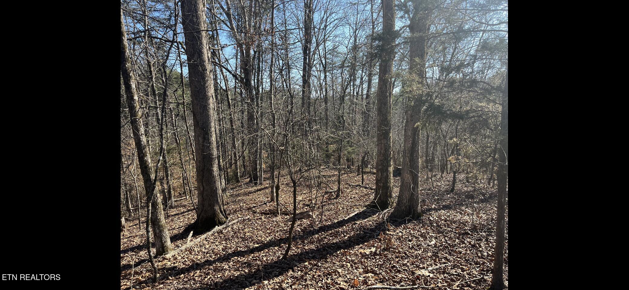 3011 Ballplay Road Madisonville TN 37354
