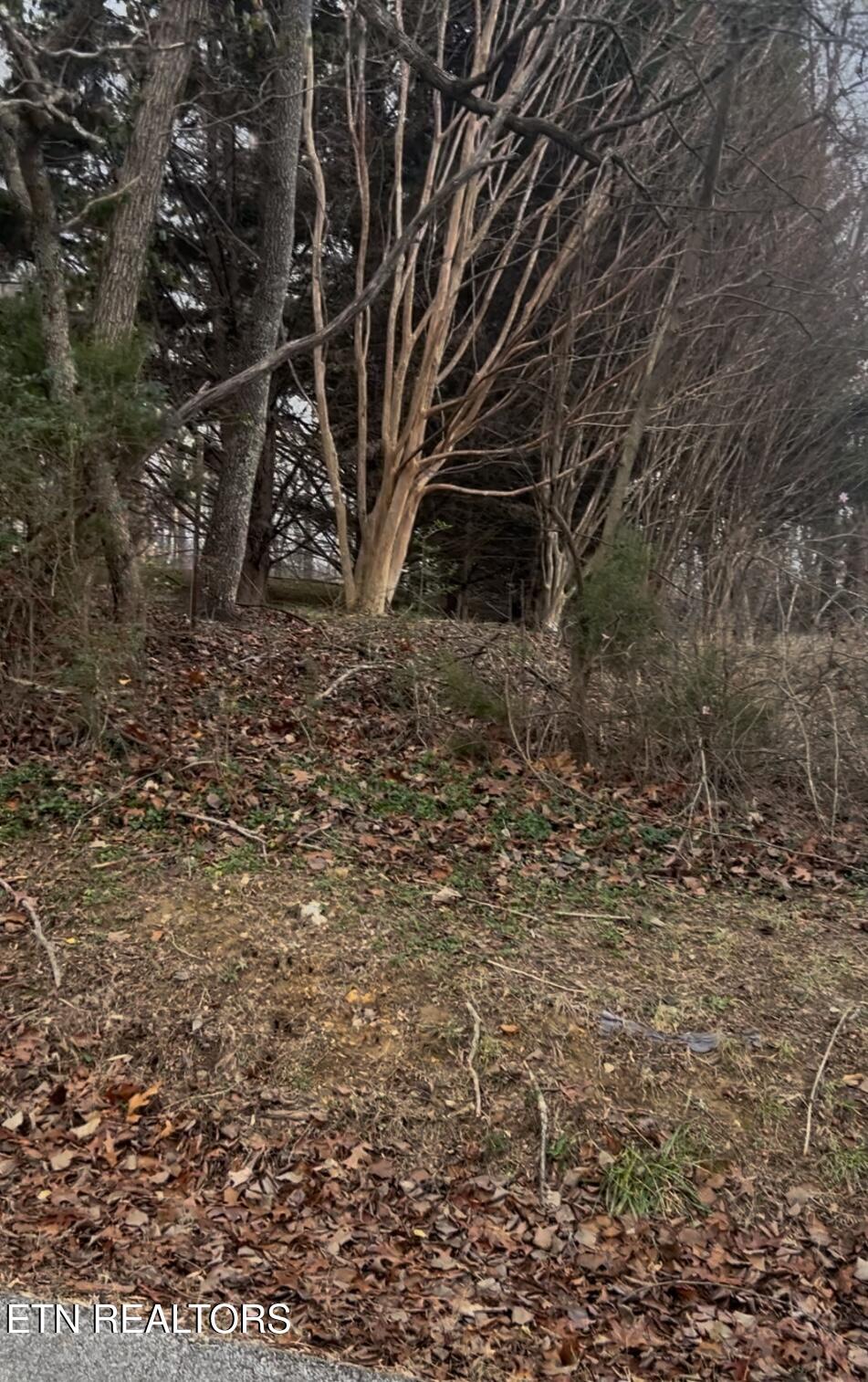 Stephens Road Rocky Top TN 37769
