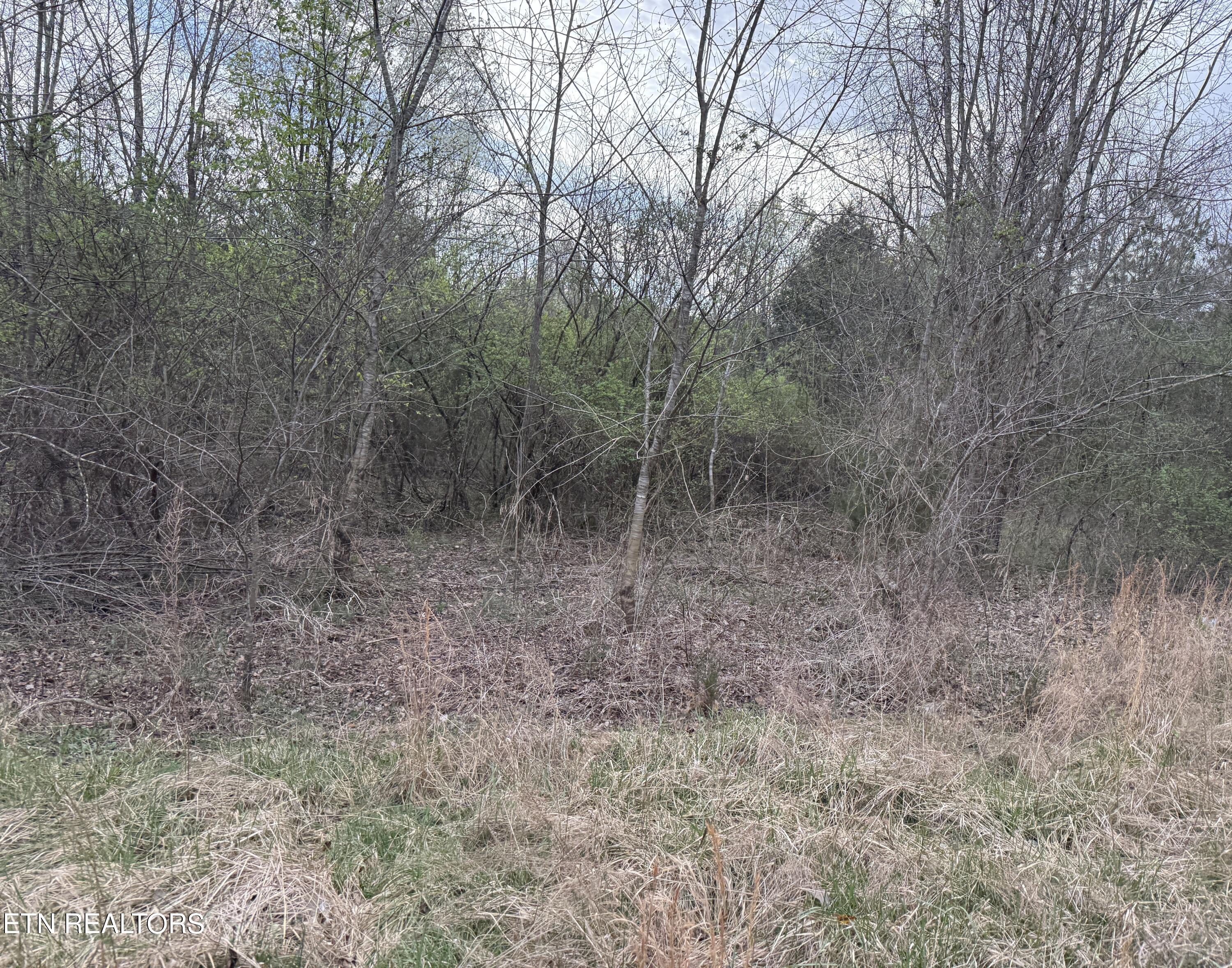145 Foxwood Drive Kingston TN 37763