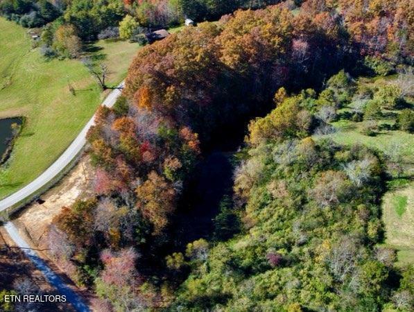 2036 Helenwood Detour Road Helenwood TN 37755