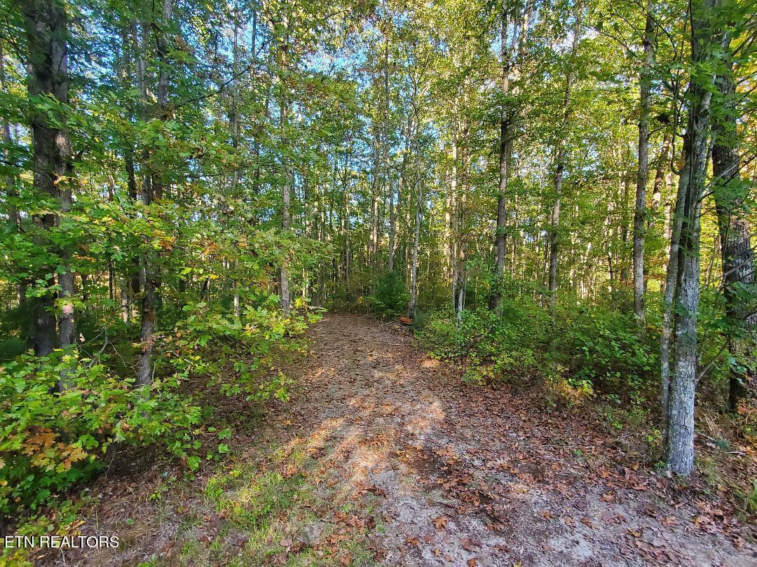 2036 Helenwood Detour Road Helenwood TN 37755