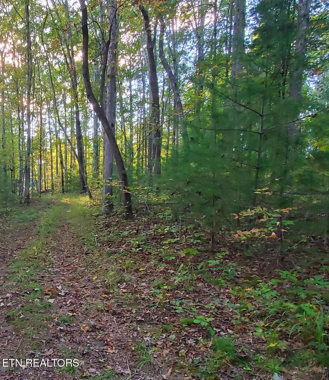 2036 Helenwood Detour Road Helenwood TN 37755