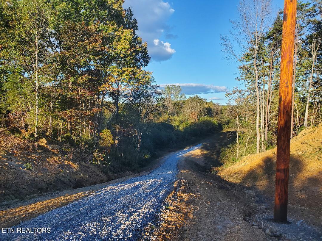 2036 Helenwood Detour Road Helenwood TN 37755