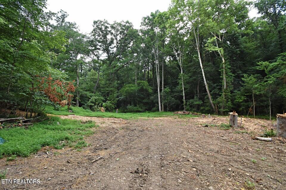 0 Early Road Knoxville TN 37922