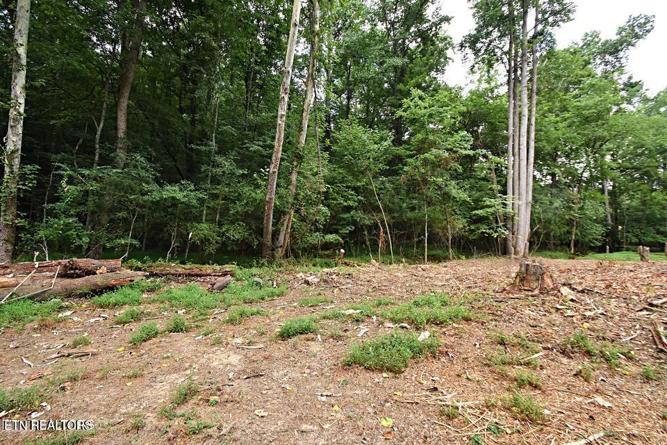 0 Early Road Knoxville TN 37922