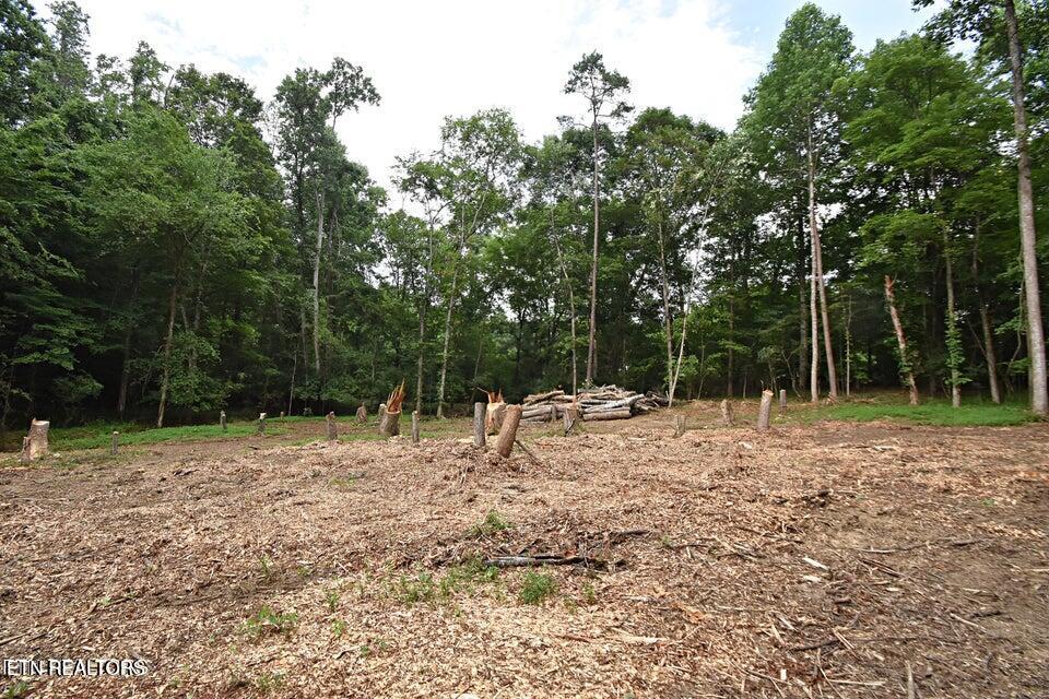 0 Early Road Knoxville TN 37922