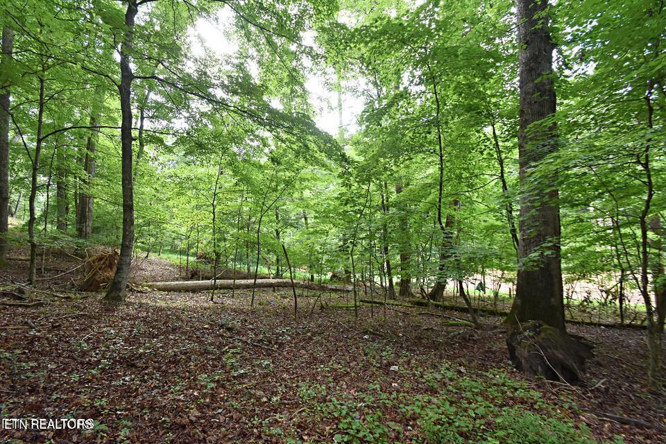 0 Early Road Knoxville TN 37922