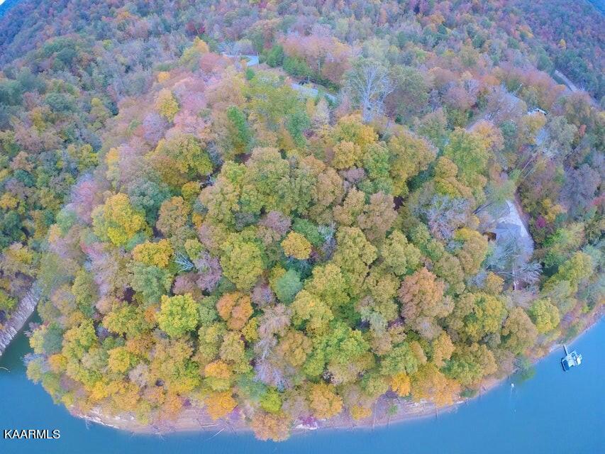 Landmark Drive New Tazewell TN 37825