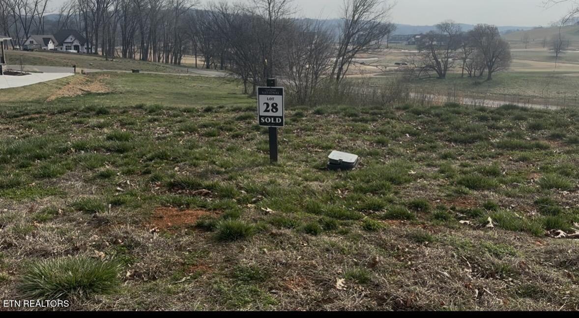 313 17th Way Drive Loudon TN 37774