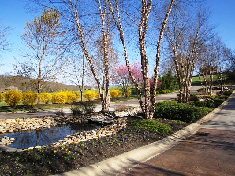 Lot 74 Serenity Overlook Dandridge TN 37725