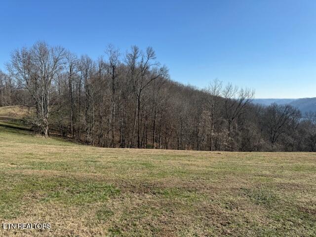 00 Smithville Highway Silver Point TN 38582