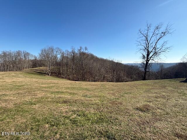 00 Smithville Highway Silver Point TN 38582