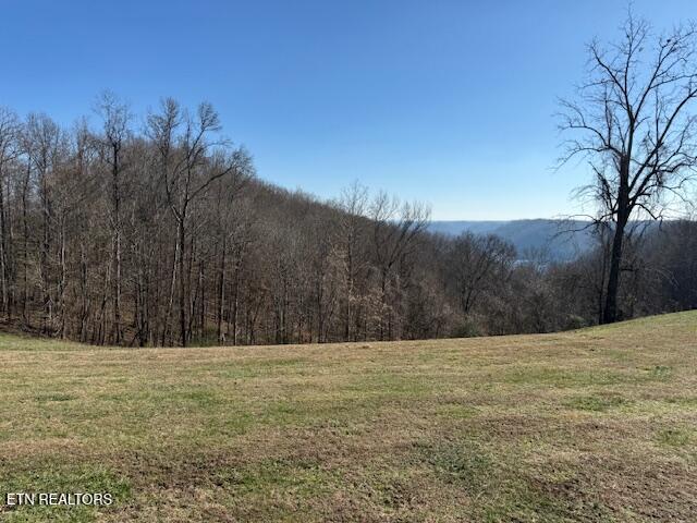 00 Smithville Highway Silver Point TN 38582