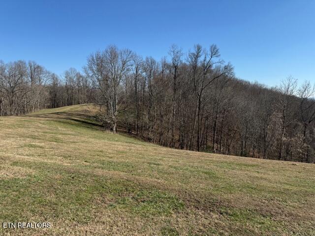 00 Smithville Highway Silver Point TN 38582