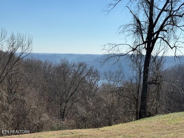00 Smithville Highway Silver Point TN 38582