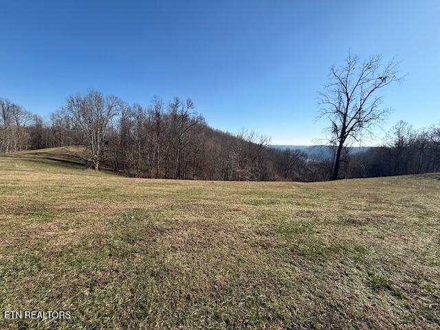 00 Smithville Highway Silver Point TN 38582
