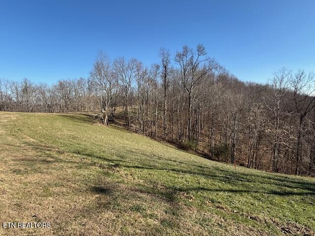 00 Smithville Highway Silver Point TN 38582