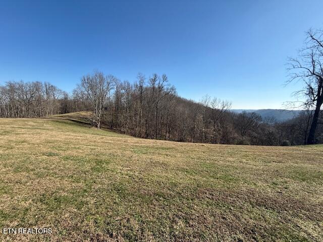 00 Smithville Highway Silver Point TN 38582