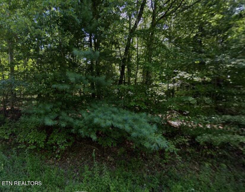 4026 Desoto Drive Crossville TN 38572
