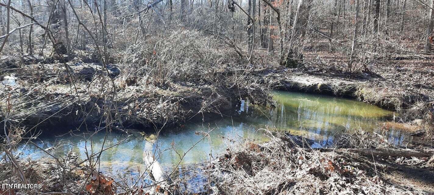 11.49 Ac Off Stanley Hood Road Crossville TN 38571