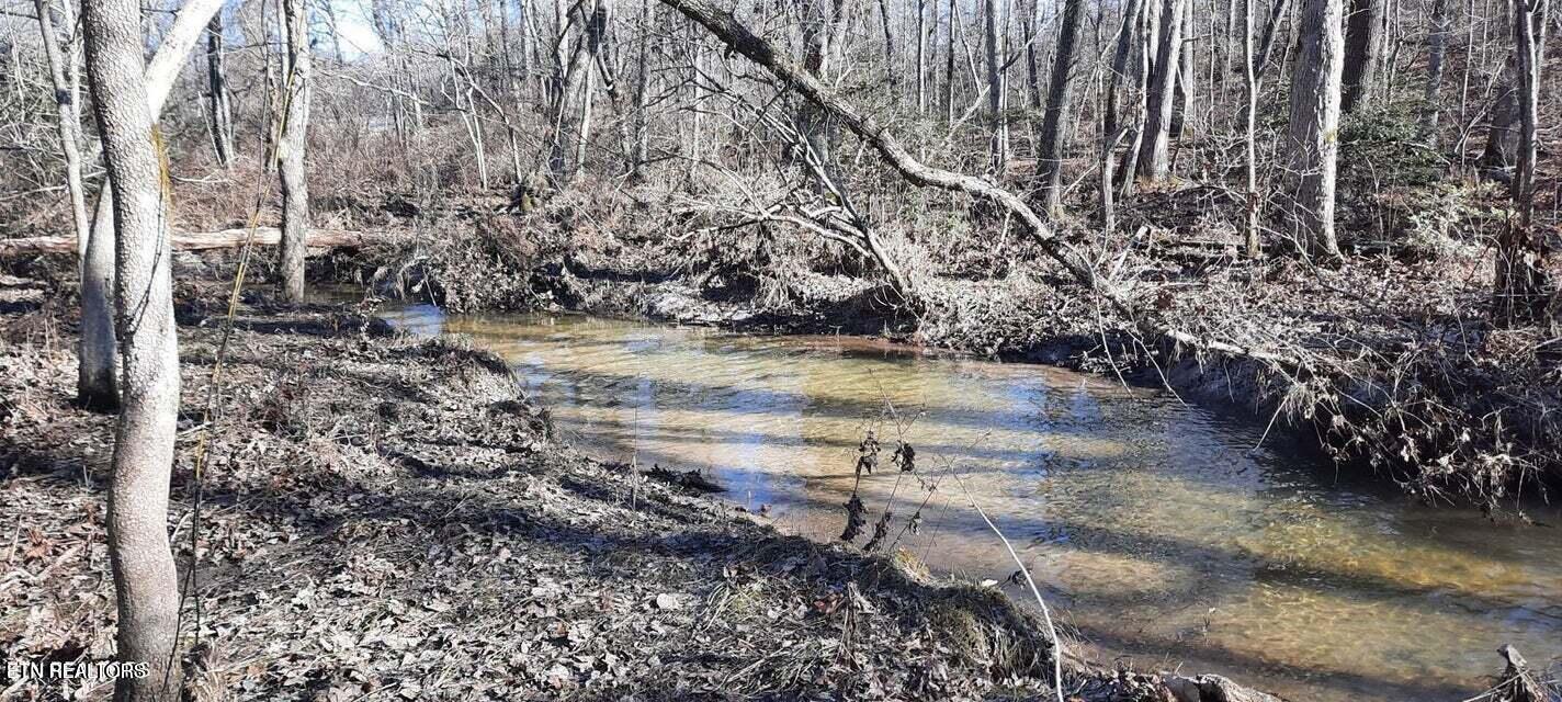 11.49 Ac Off Stanley Hood Road Crossville TN 38571
