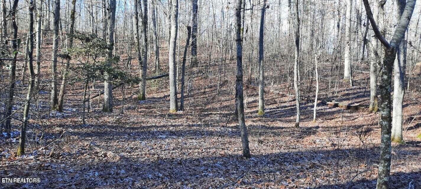 11.49 Ac Off Stanley Hood Road Crossville TN 38571