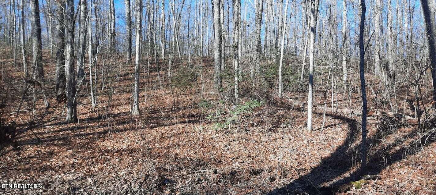 11.49 Ac Off Stanley Hood Road Crossville TN 38571