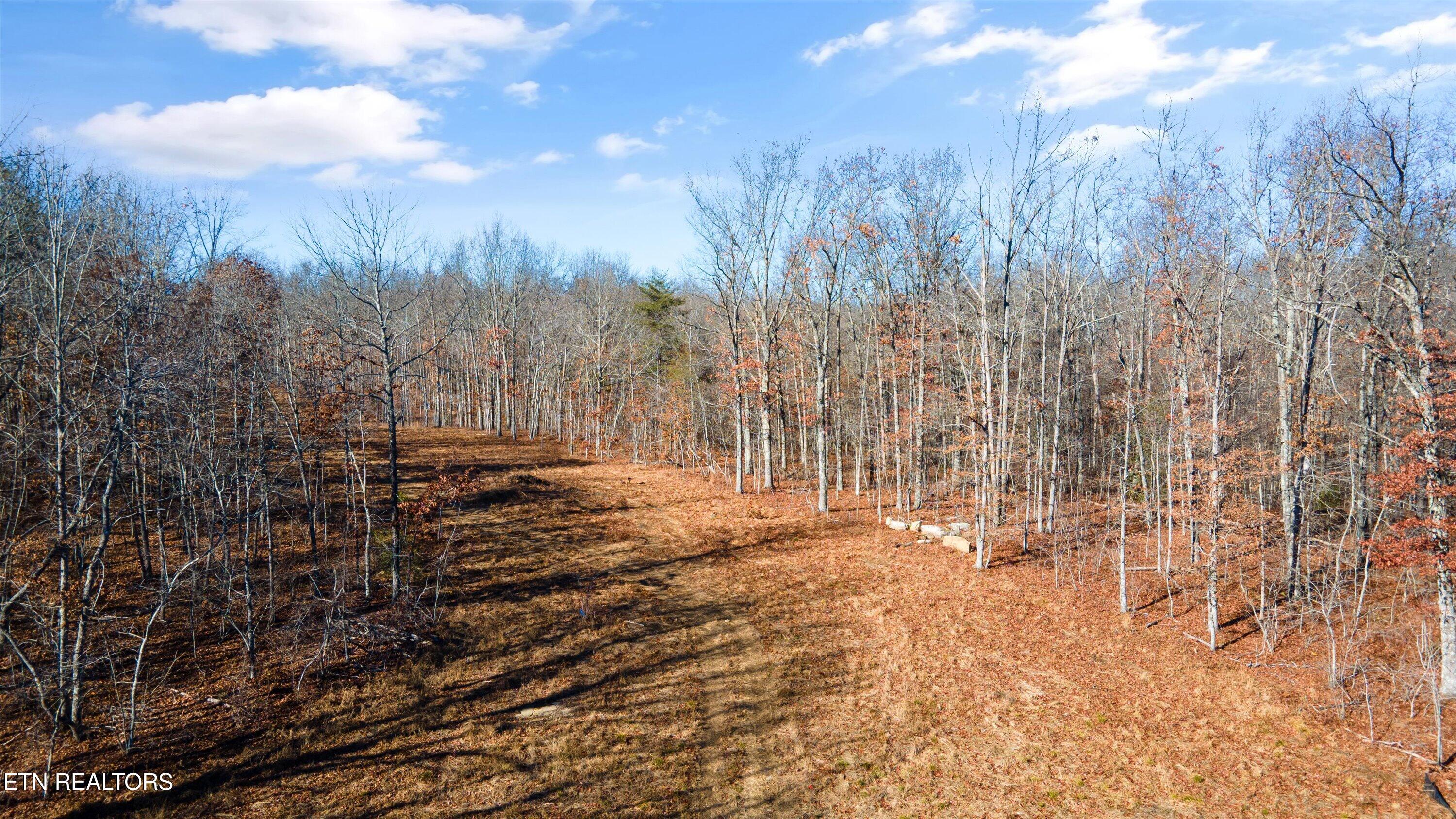 11.49 Ac Off Stanley Hood Road Crossville TN 38571