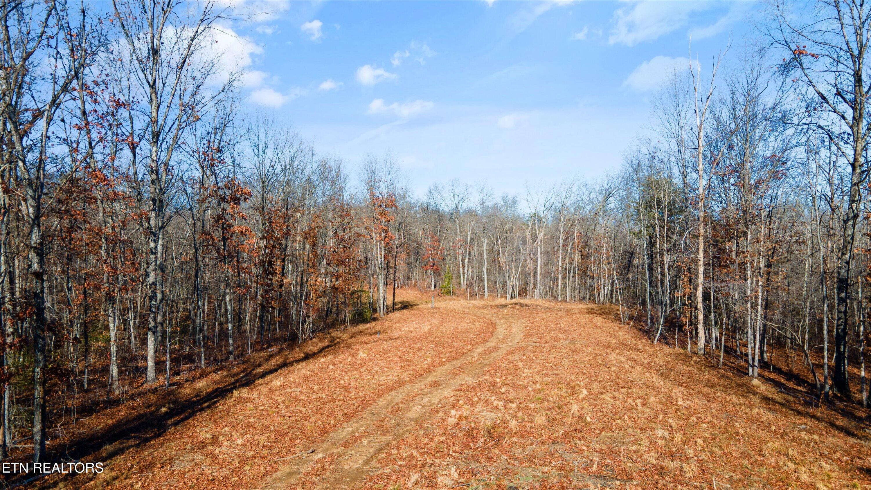 11.49 Ac Off Stanley Hood Road Crossville TN 38571