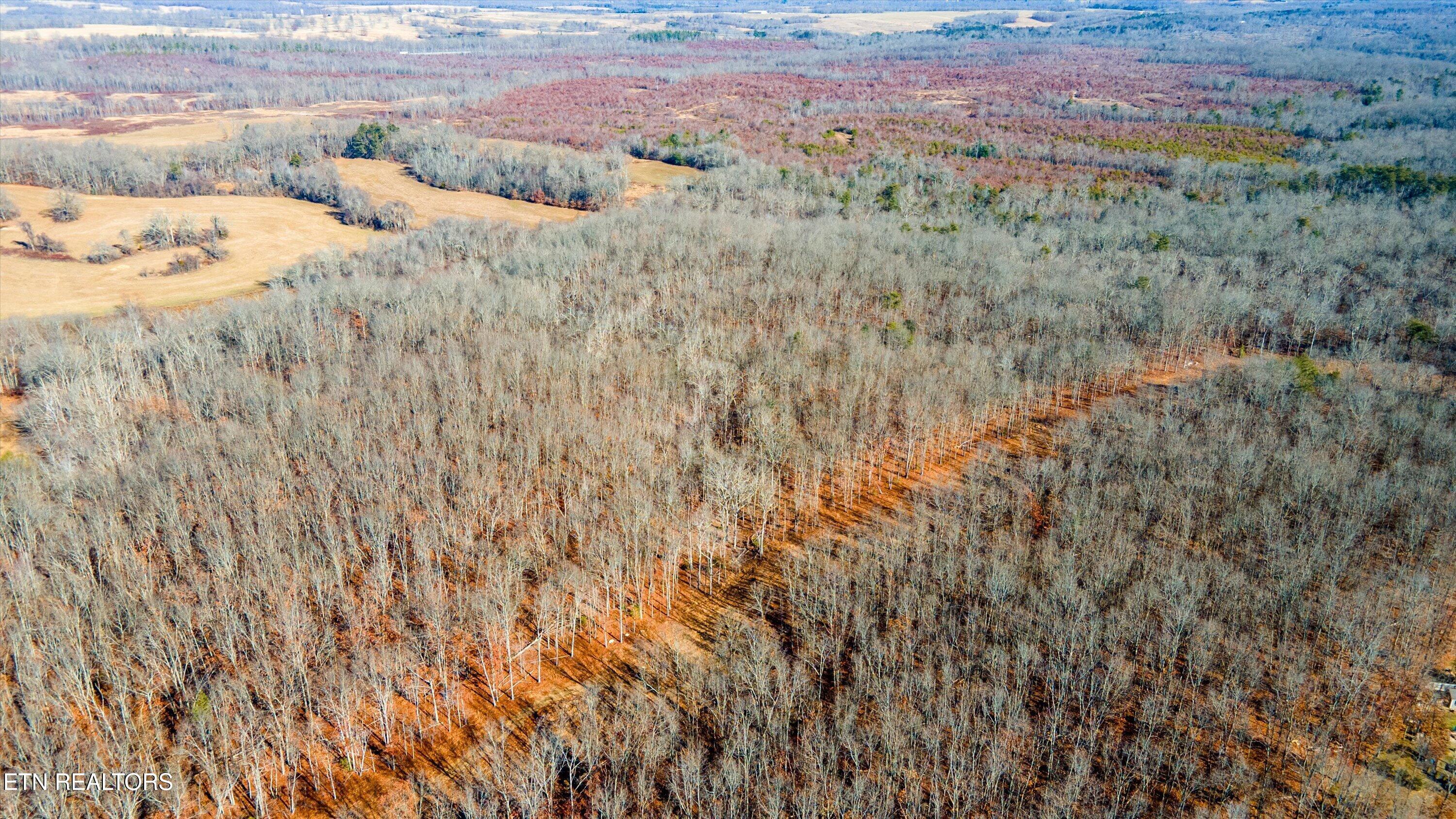 11.49 Ac Off Stanley Hood Road Crossville TN 38571