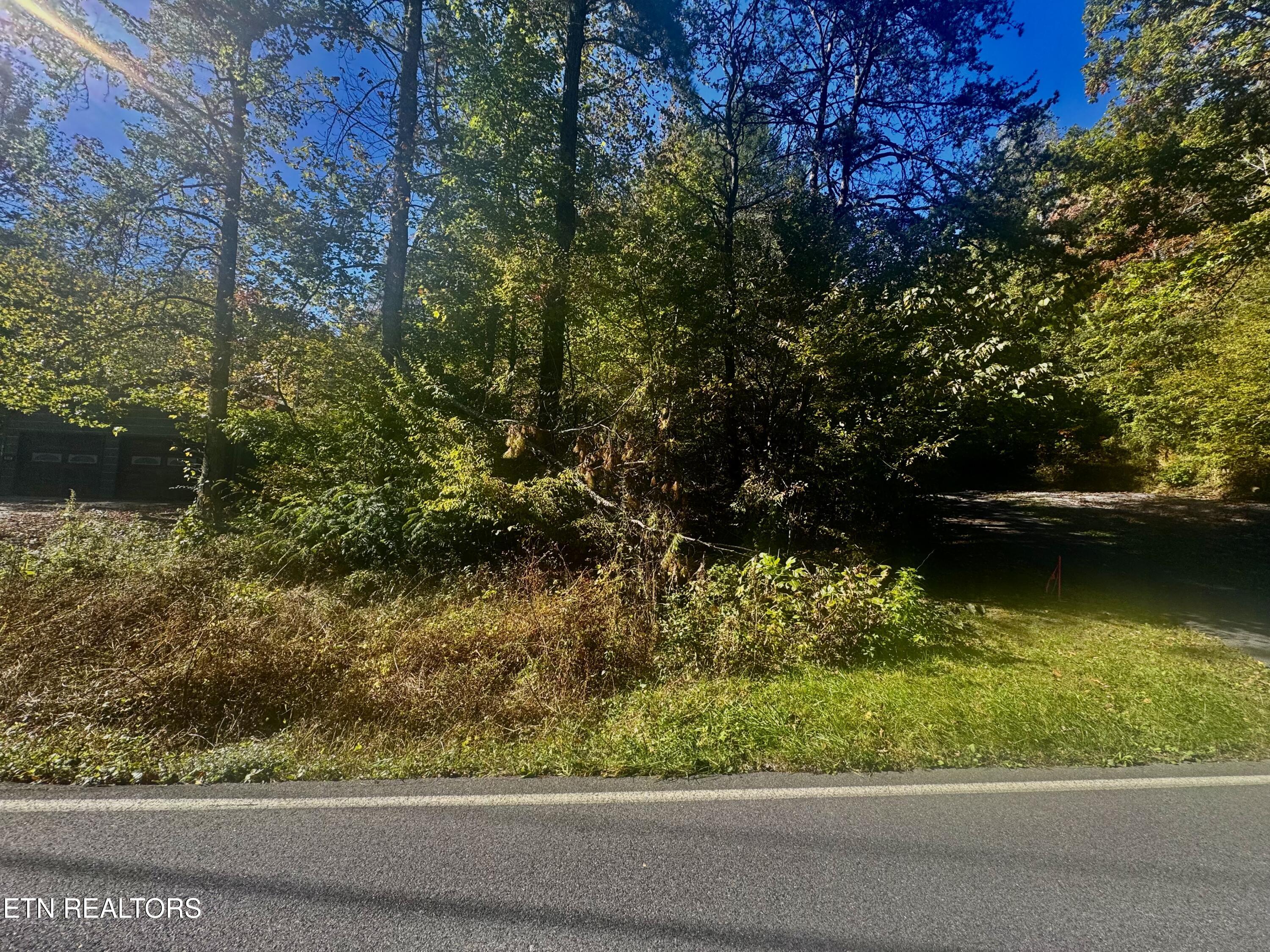 Lot 16 Powdermill Road Gatlinburg TN 37738
