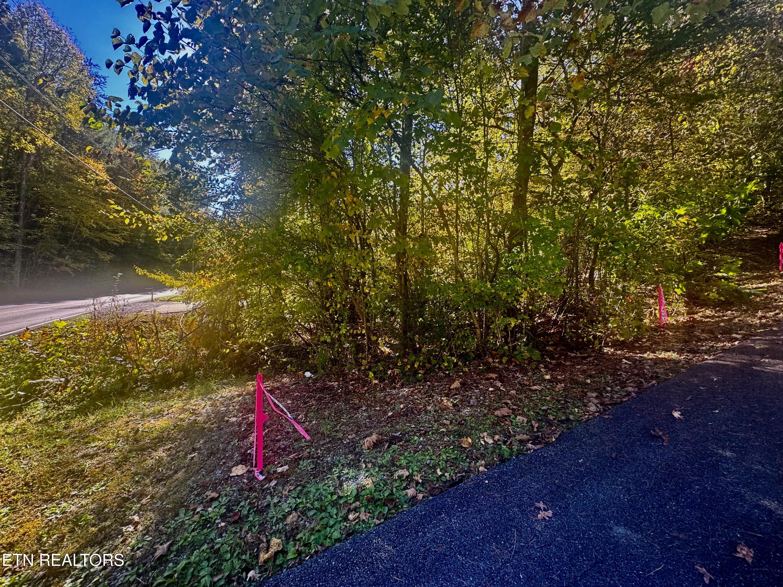 Lot 16 Powdermill Road Gatlinburg TN 37738