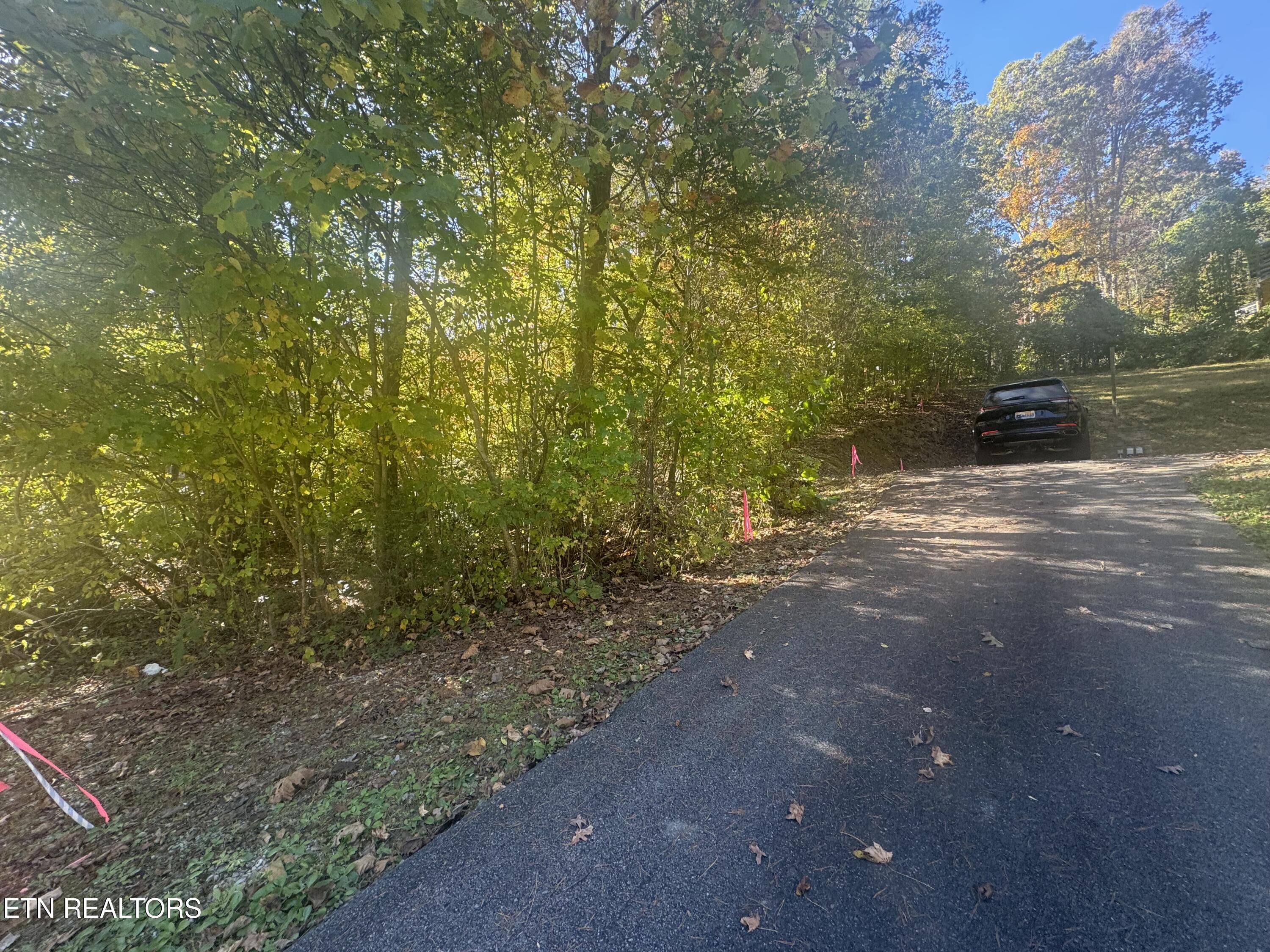 Lot 16 Powdermill Road Gatlinburg TN 37738