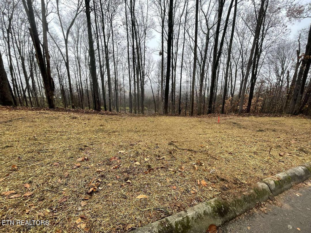 00 Lot 10 Poplar Drive Sweetwater TN 37874