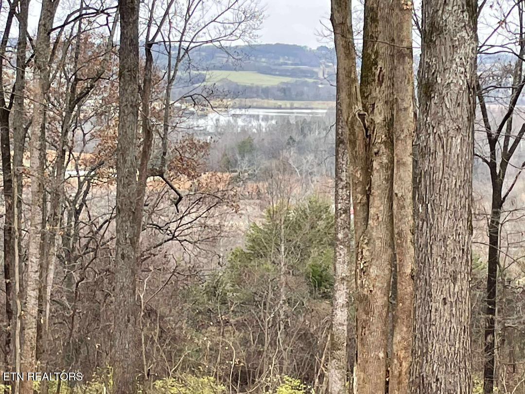00 Lot 10 Poplar Drive Sweetwater TN 37874