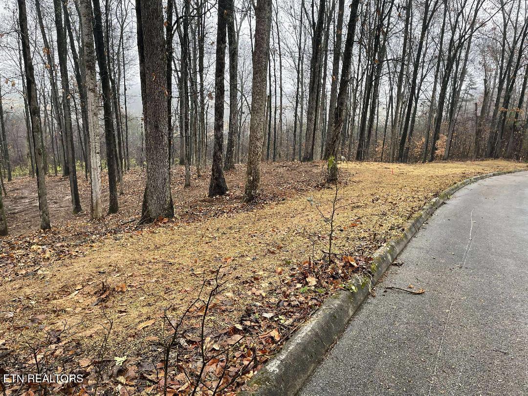 00 Lot 10 Poplar Drive Sweetwater TN 37874