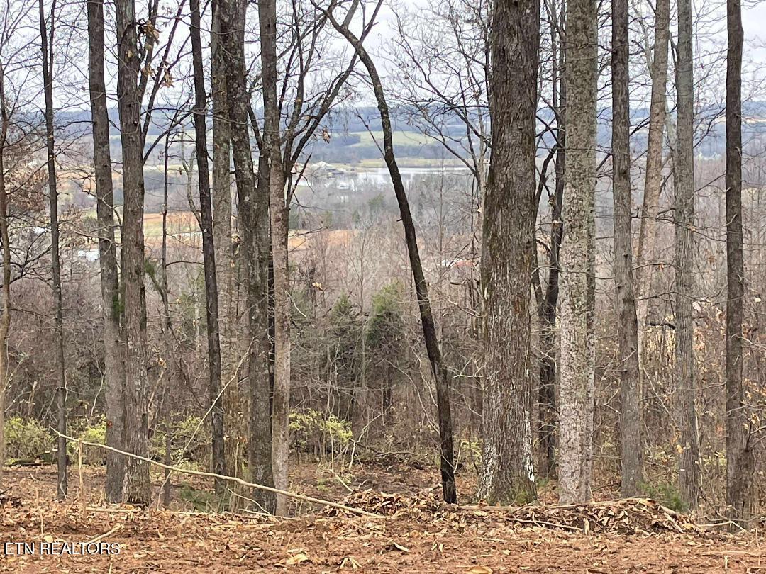 00 Lot 10 Poplar Drive Sweetwater TN 37874