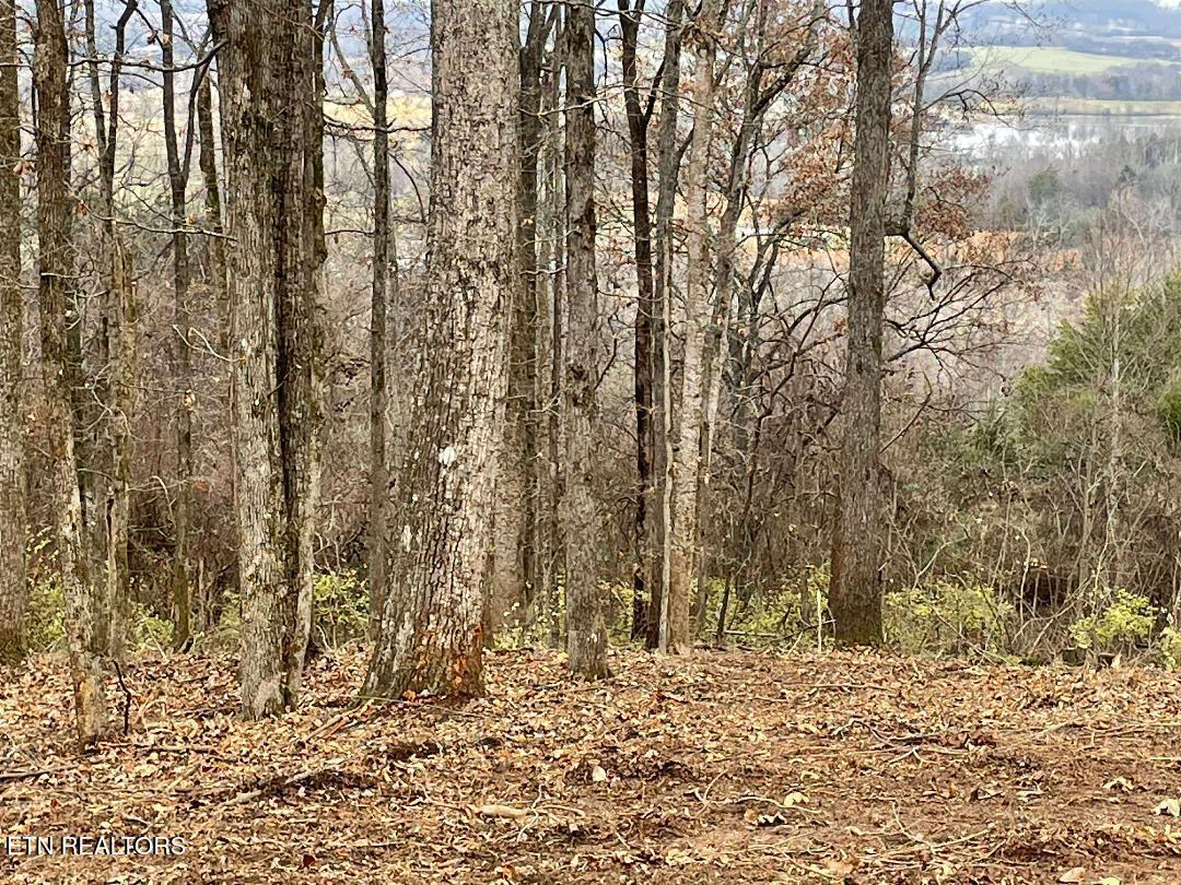 00 Lot 10 Poplar Drive Sweetwater TN 37874